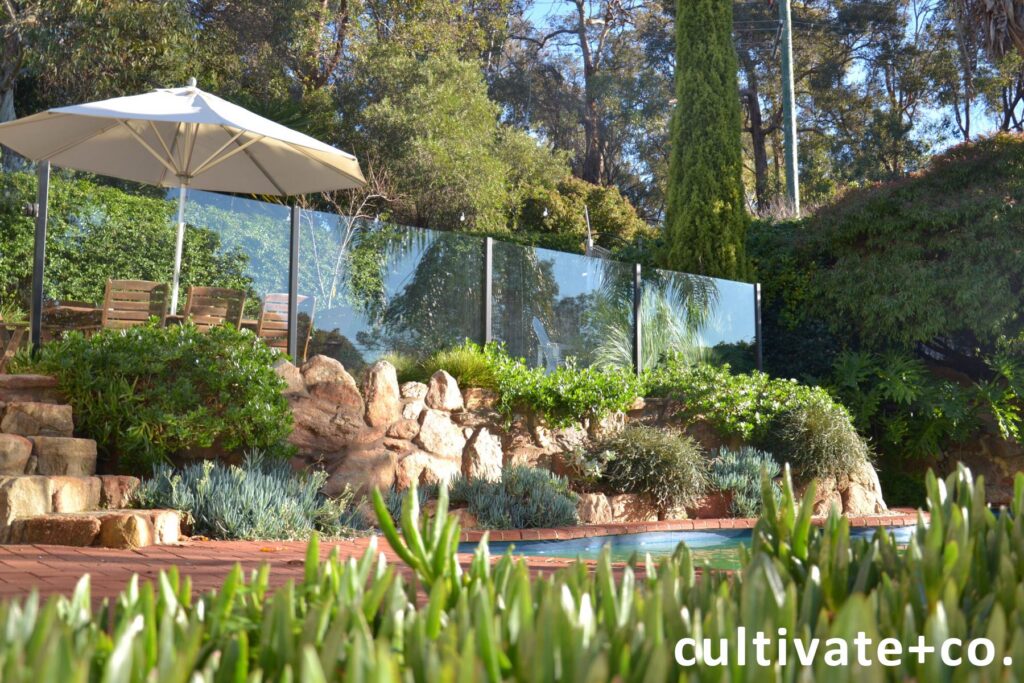 landscaping around pool
