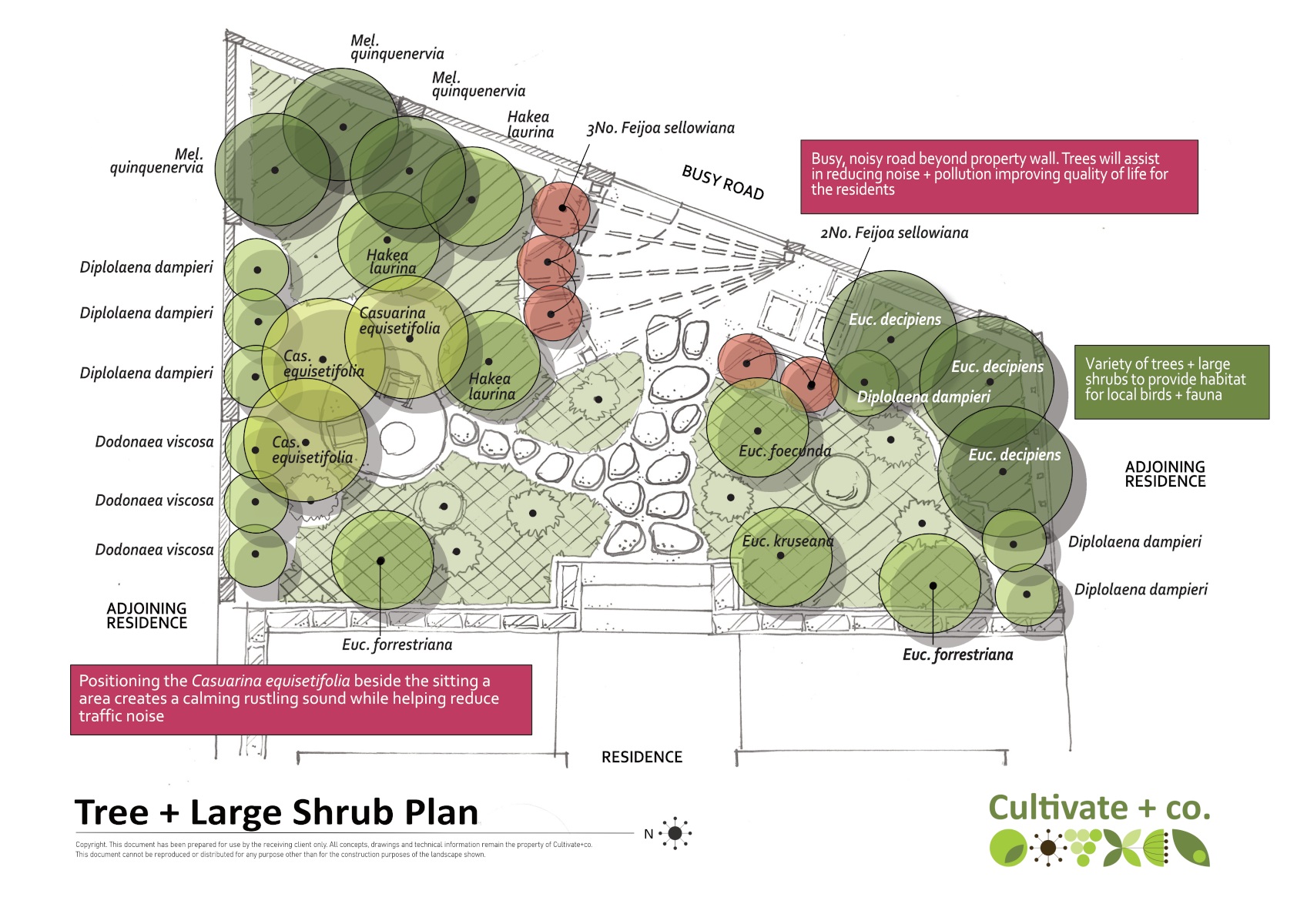 tree and large shrub plan