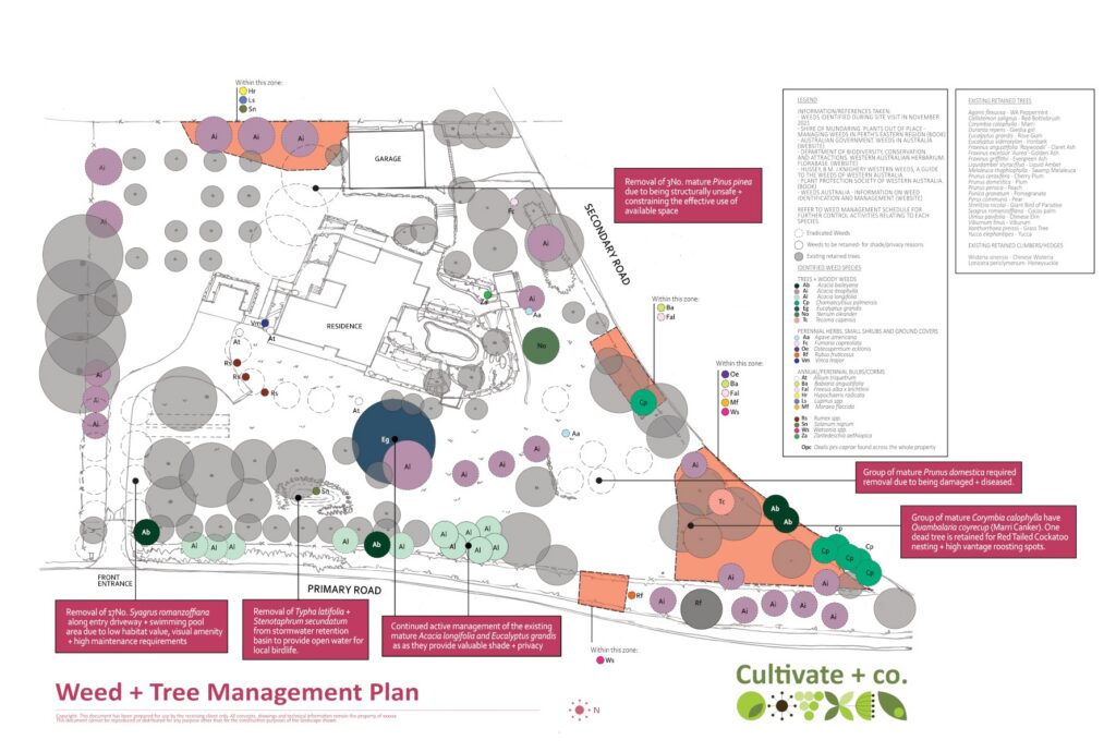 weed and tree management plan